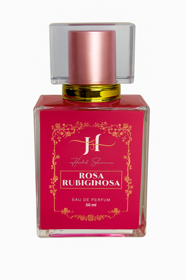 rosa rubiginosa