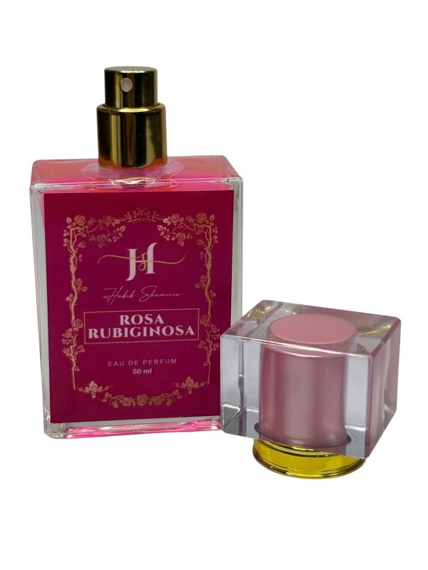 rosa rubiginosa - Image 3
